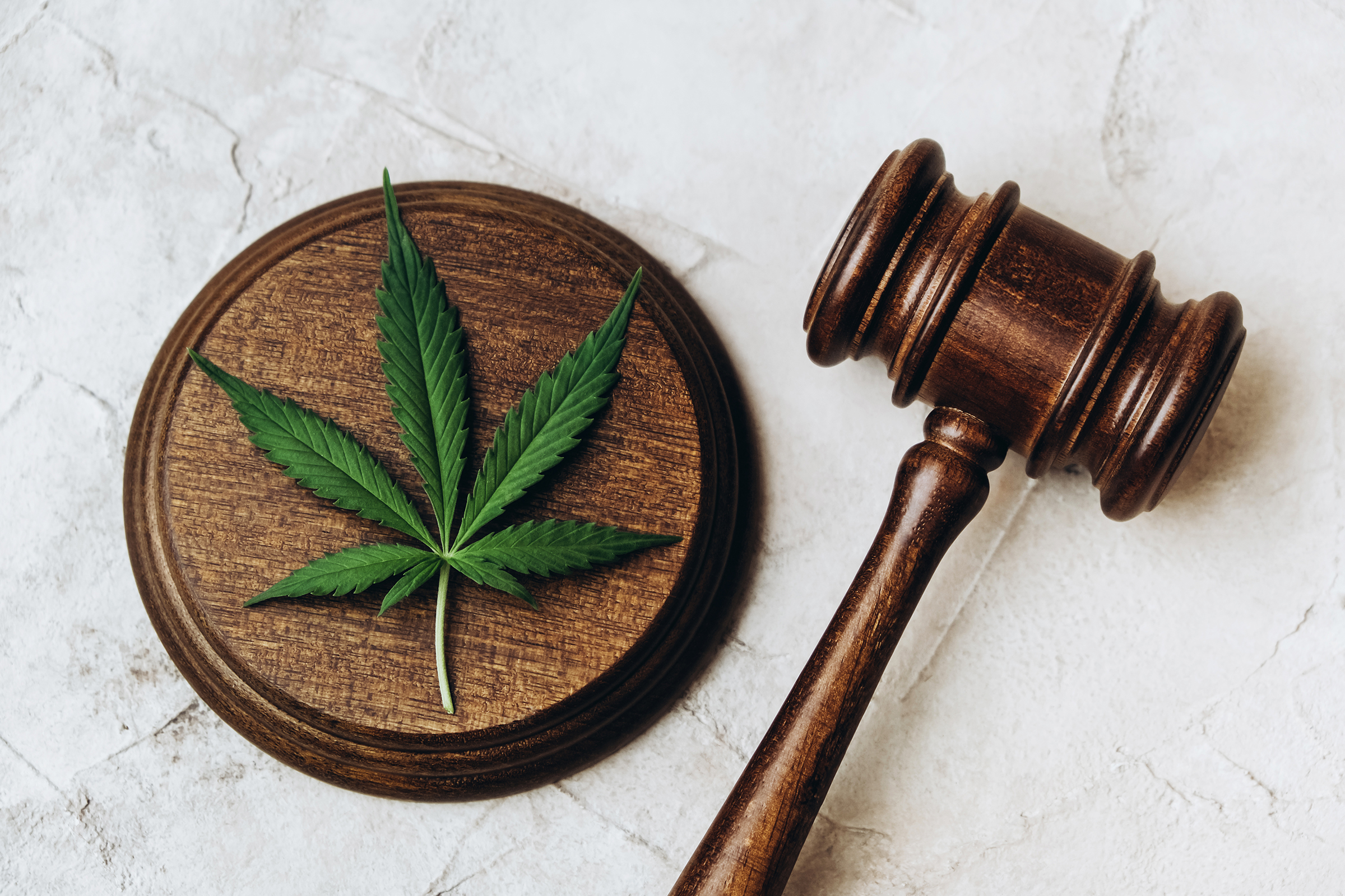cannabis